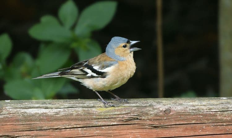 Hangfejlesztés kurzus