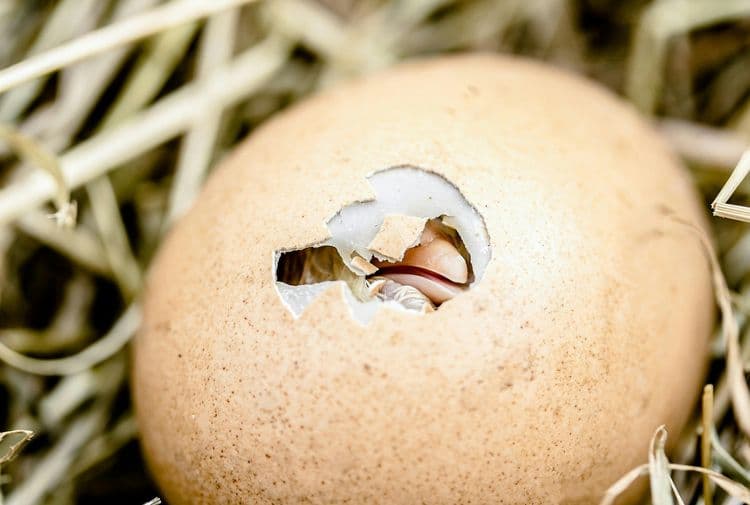 Belső útjainkon - önismeret Szomatodrámával - Kiscsoportban